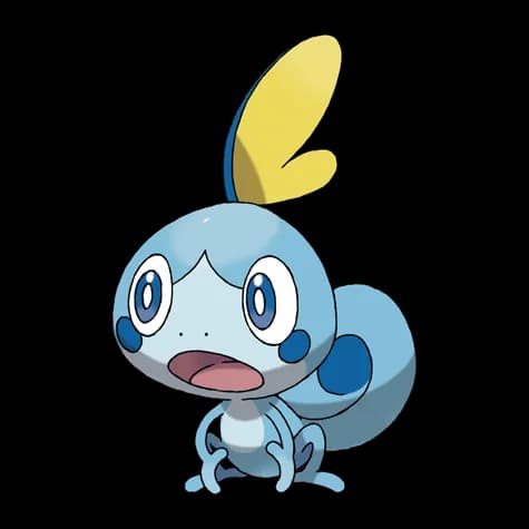 Sobble – one of the cutest water Pokémon
