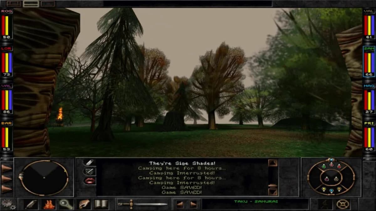 Screenshot from Wizardry 8