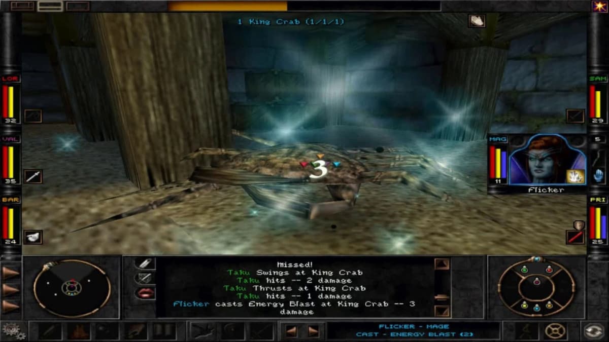 Screenshot from Wizardry 8