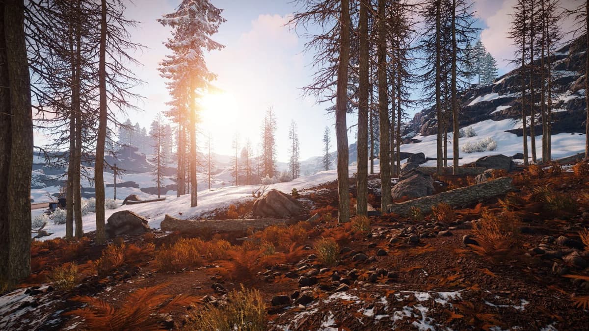 Screenshot from Rust