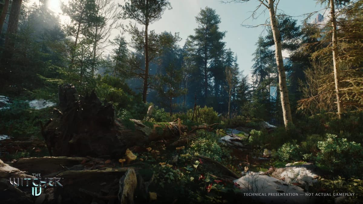Screenshot from The Witcher IV