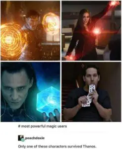 Thanos got Dr Strange, Scarlet Witch and Loki. Not Ant-Man