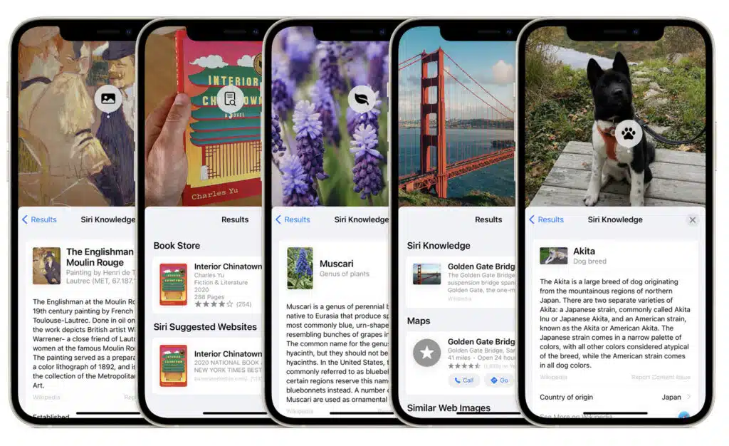 Visual Look Up in iOS 15 allows you to learn more about the world around you with on-device intelligence.